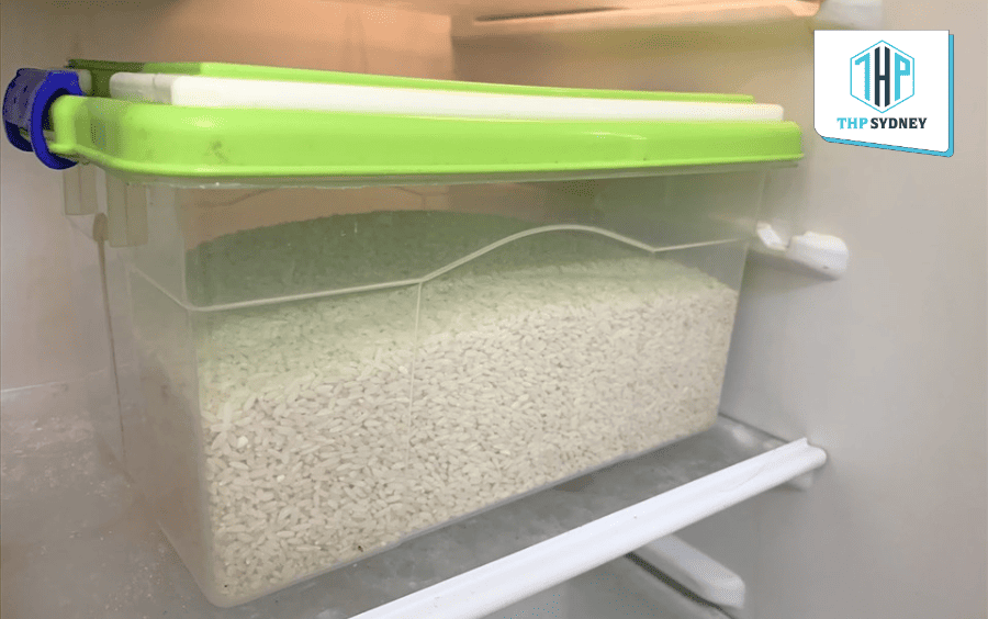 Bảo quản gạo trong tủ lạnh nếu thời tiết quá ẩm