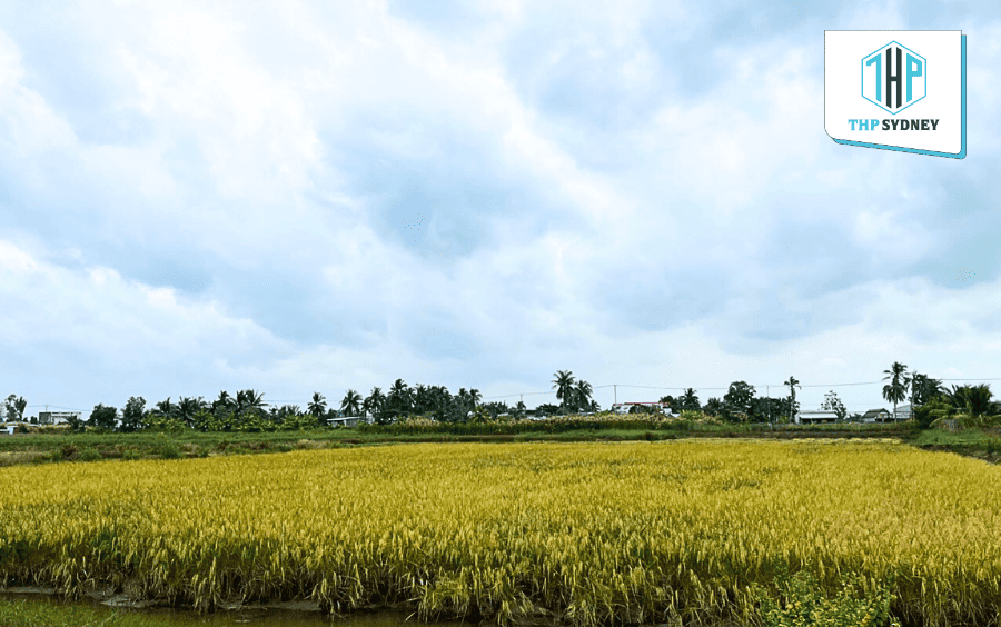 Quy trình sản xuất được theo dõi nghiêm ngặt