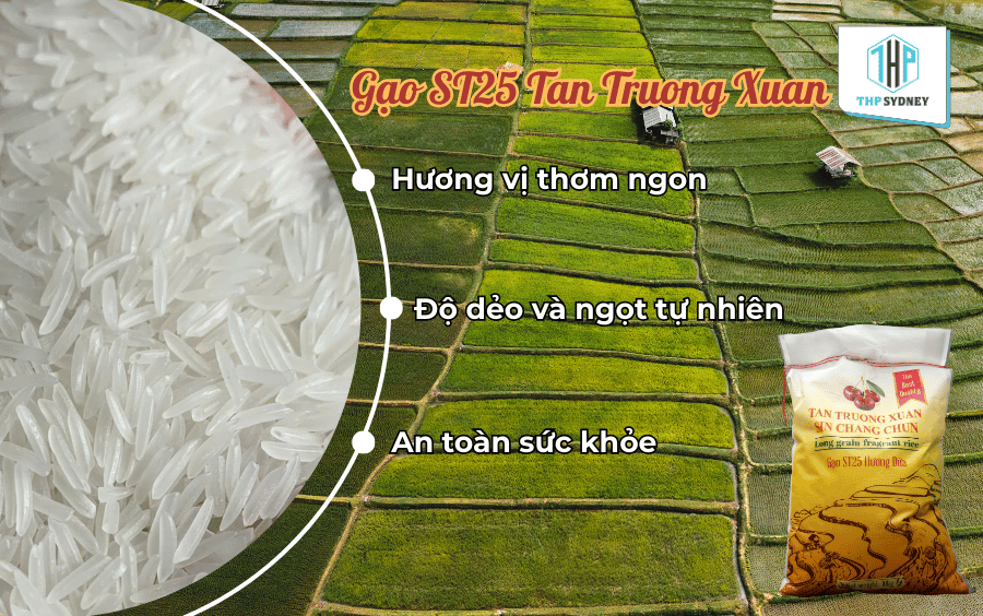 Gạo ST25 Tan Truong Xuan thơm ngon, dẻo mềm, ngọt tự nhiên