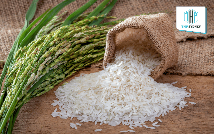 Lựa chọn gạo chất lượng để đảm bảo bữa ăn sáng của bạn chất lượng